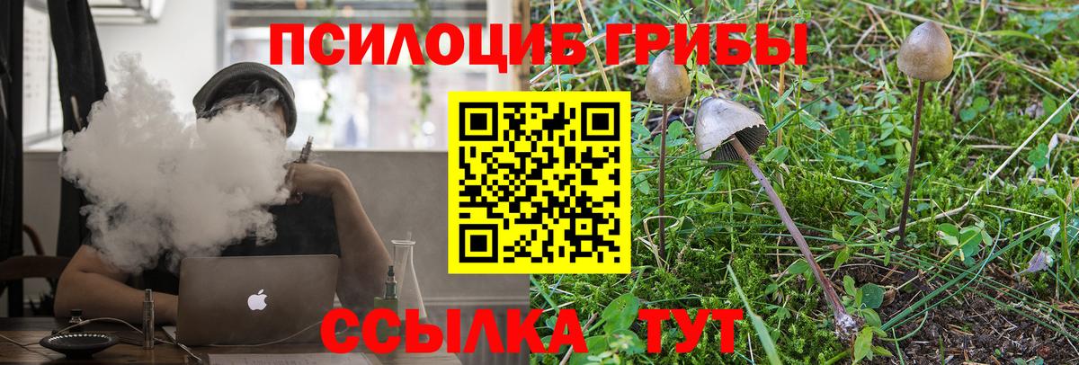 Галлюциногенные грибы Psilocybine cubensis Ртищево